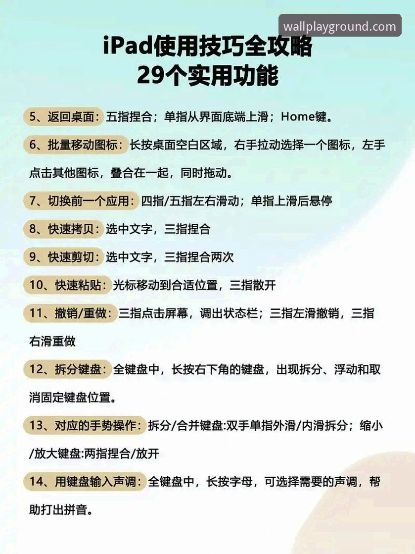 长城体育电脑版必备 长城体育电脑版必备功能全面解析:从入门到精通的操作指南